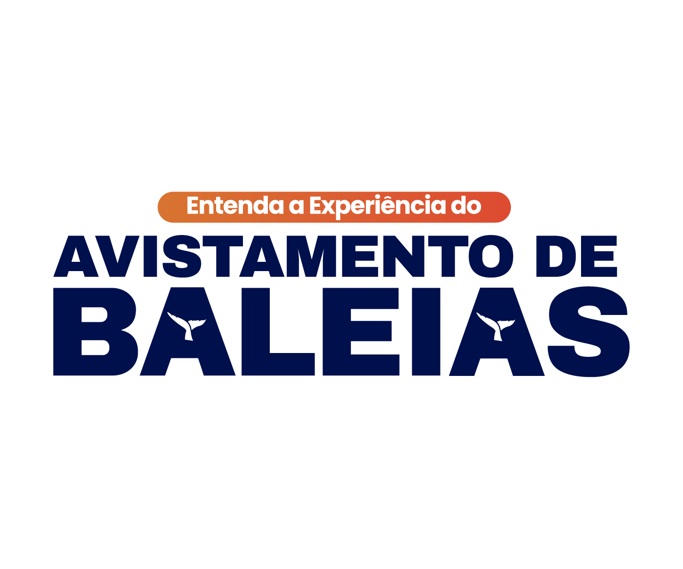 Entenda a experiência do avistamento de baleias