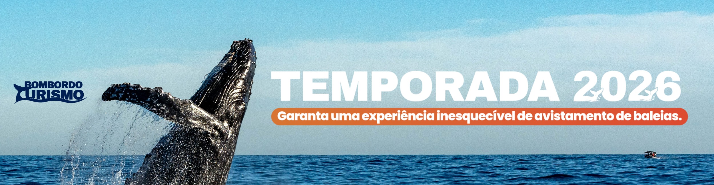 Temporada 2026 — Garanta sua experiência inesquecível de avistamento de baleias