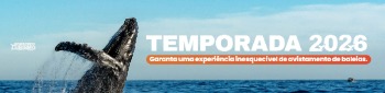 Temporada 2026 — Garanta sua experiência inesquecível de avistamento de baleias