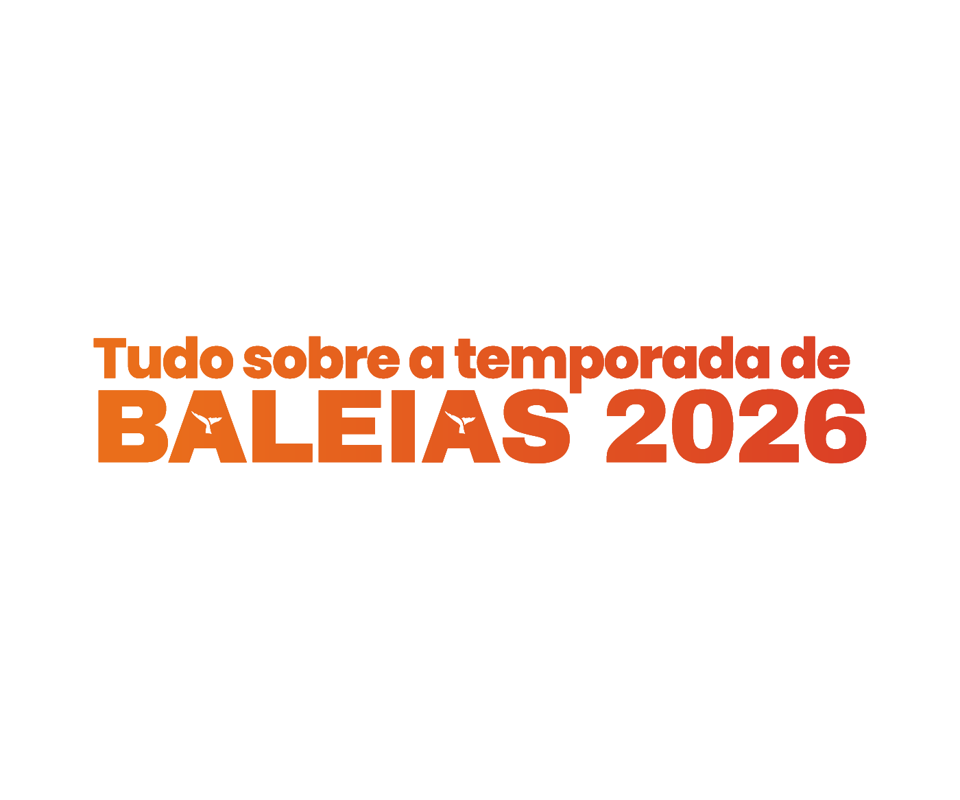 Tudo sobre a temporada de baleias 2026